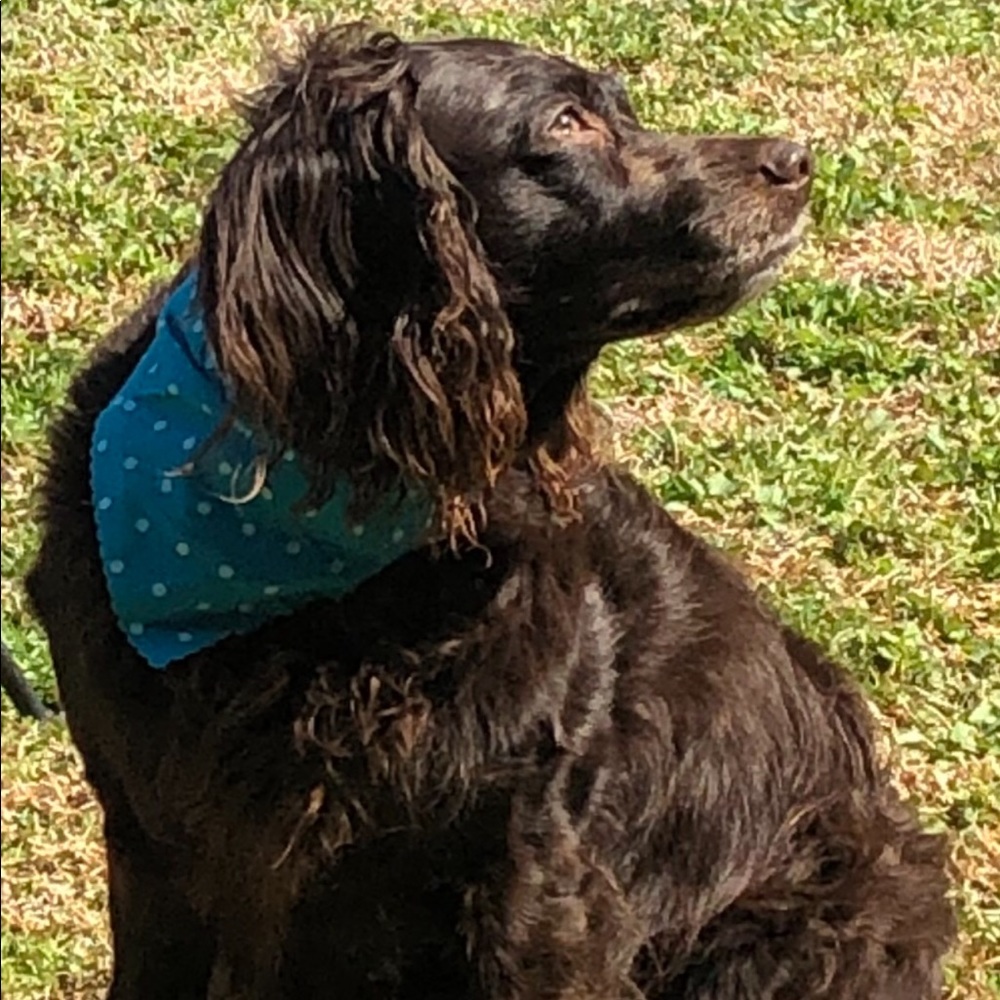 Meet your Posher, Allyson